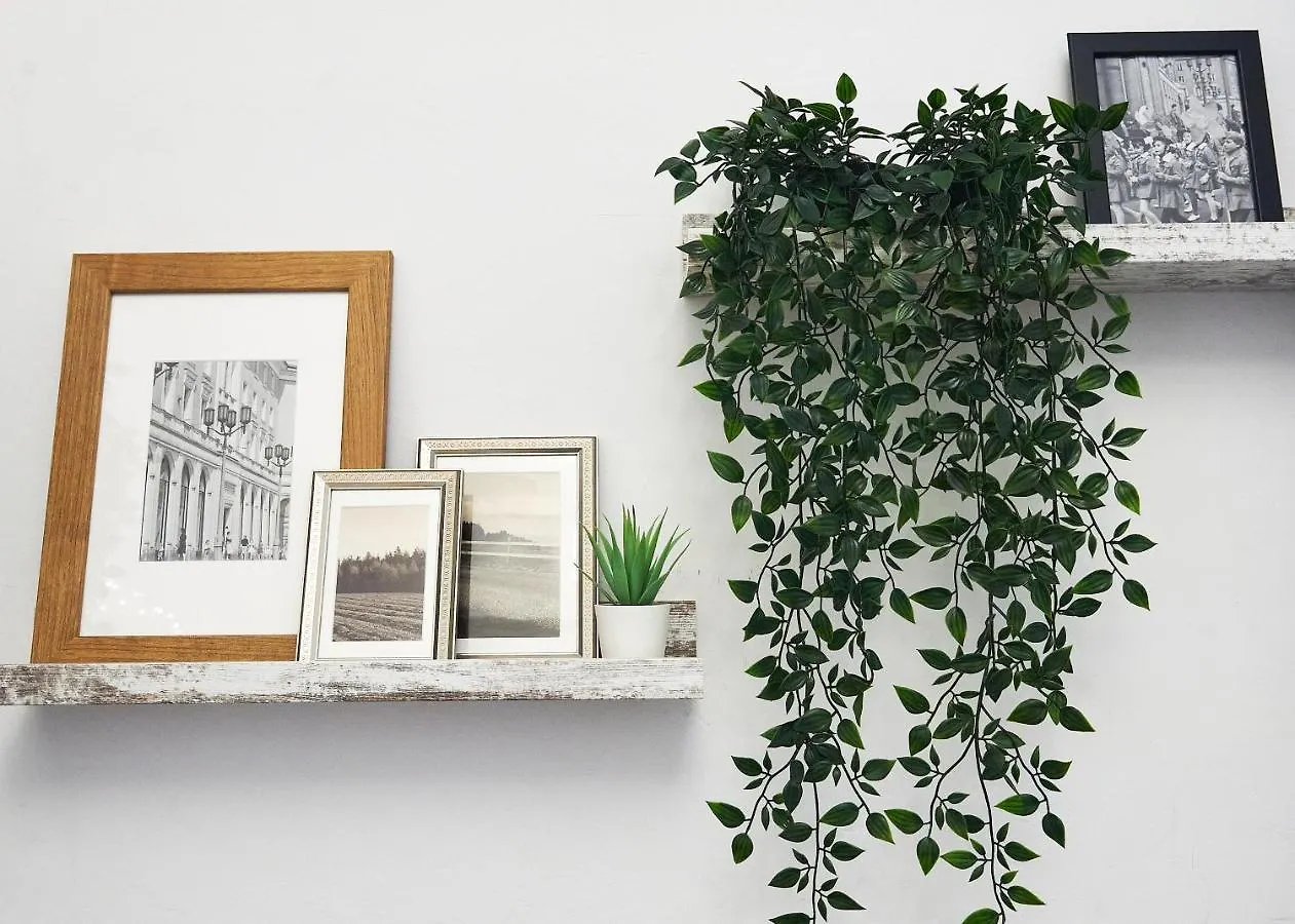 Apartament Rose Kazimierz Kraków